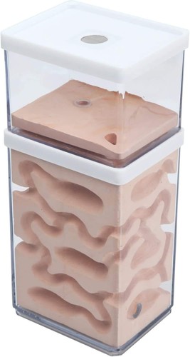 Ant nest farm with - farm, natural