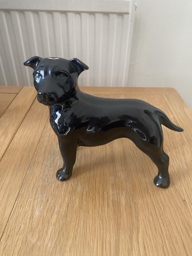 Staffordshire bull terrier - staffordshire,