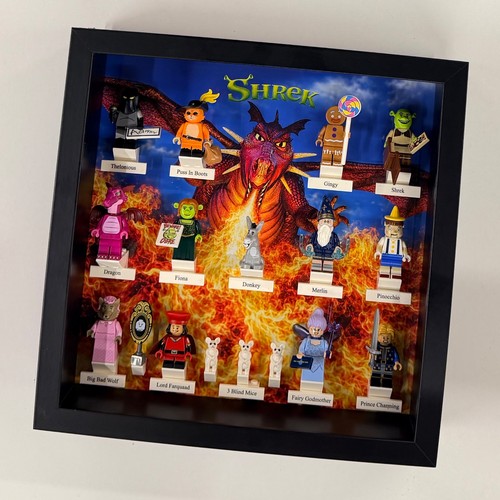 Display frame case for lego - for,