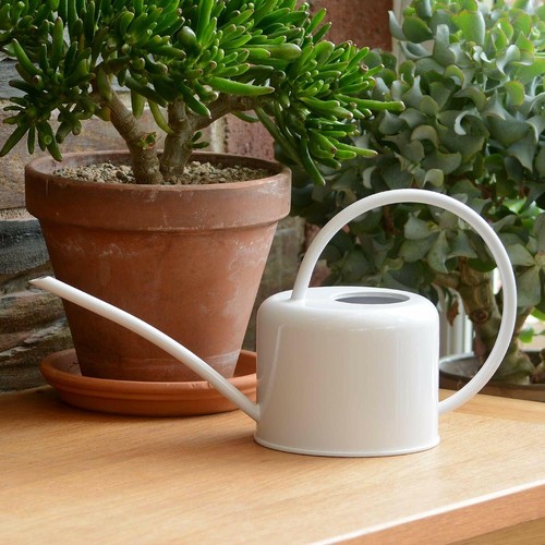Indoor watering can - watering,