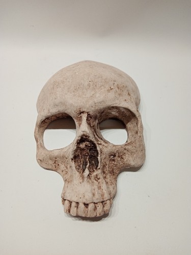 Human half skull replica - half,