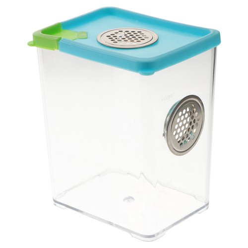 Lizards breeding box aquarium - lizards,