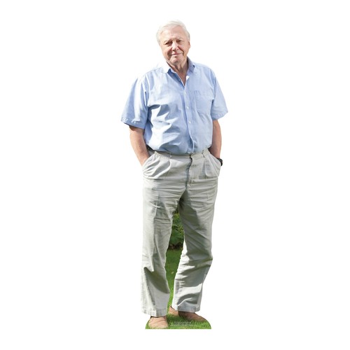David attenborough mini - david,