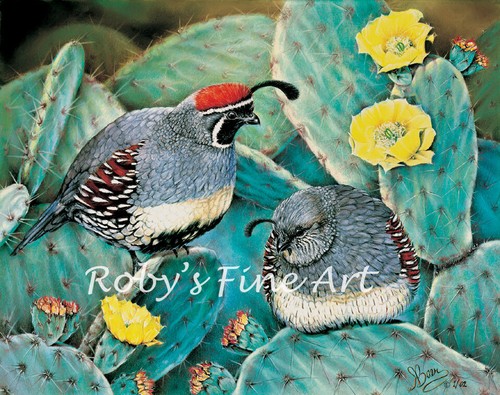 Limited edition gambel quail - limited,