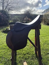 Lovely Brown 16.5” GP