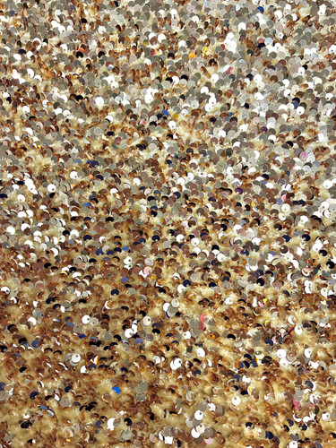 Stephanie champagne sequins - champagne,