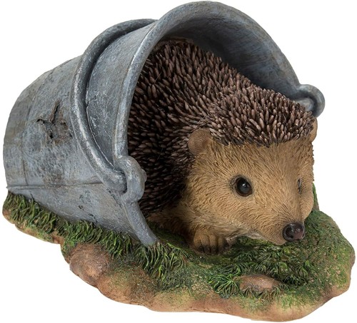 Vivid arts real life - arts, hedgehog