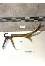 Red Deer Antler