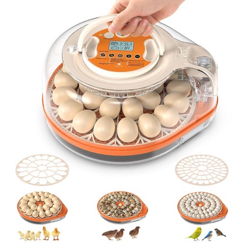 26x eggs incubator - eggs,