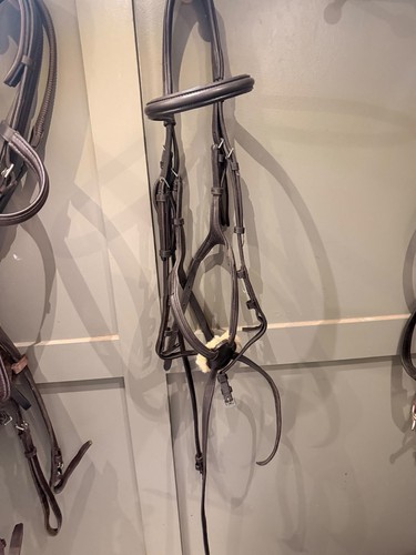 Ecorider grackle bridle full - ecorider,