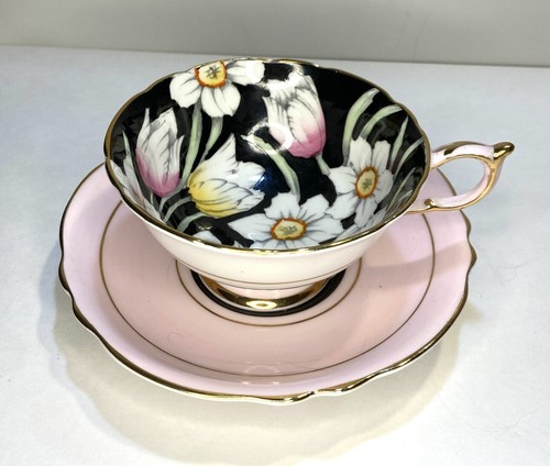 Paragon fine bone - paragon,