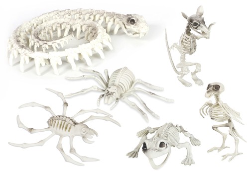 Halloween skeleton decoration - skeleton,