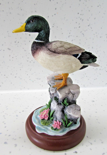 Border fine arts duck mallard - duck,
