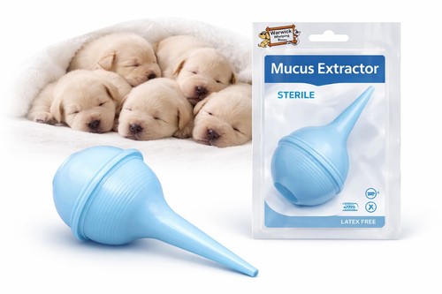 Sterile bulb syringe mucus - sterile,
