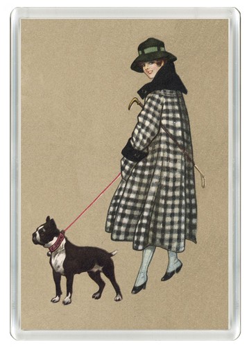 Boston terrier elegant - boston, lady