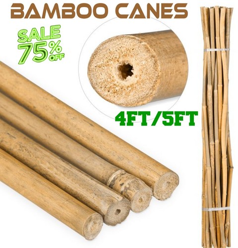 Bamboo cane garden natural - bamboo,