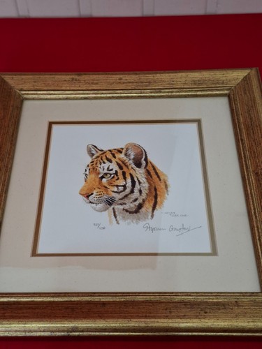 Indian tiger cub signed - –, by