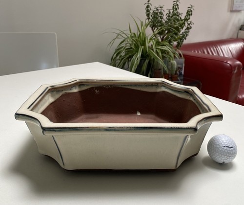 Bonsai pot cream colour - bonsai,