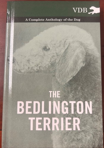 Bedlington terrier a - terrier,