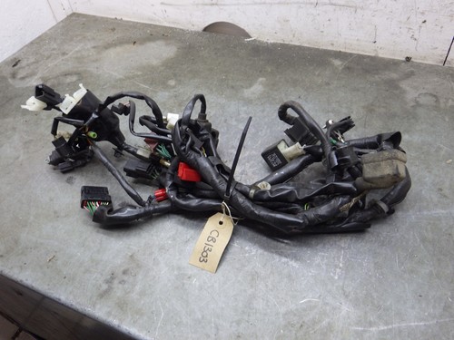 Honda cb125f wiring loom - honda,