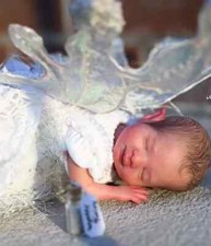 8" Mini Wynter Fairy Reborn Baby Doll Handy kit Doll with Body Fresh Color Gift