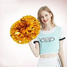 2 X Pom Poms Cheerleader