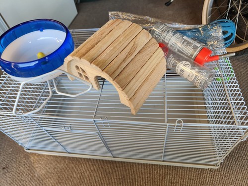 Dwarf hamster cage - hamster,