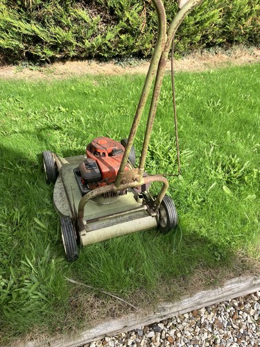 Hayterette rough cut lawn - hayterette,