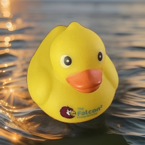 Falcon programme rubber duck - programme,