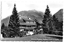 Postcard, forest in Pinzgau