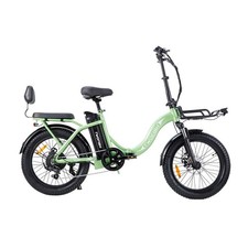 Folding Electric Bike TWOFISH