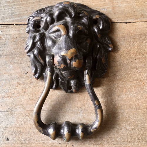 Victorian brass lion - brass, head