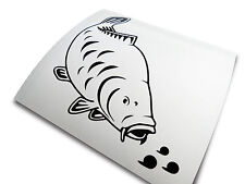 Big Kippers 'Feeding Mirror