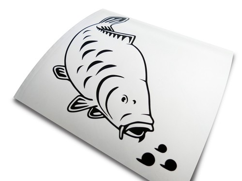 Big kippers feeding mirror - 'feeding,
