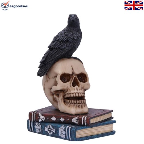 Gothic raven skull figurine - raven,