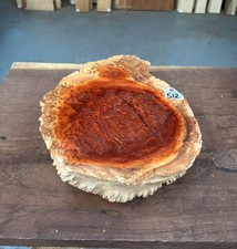 Western Red Box Burl / Burr