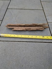 Bogwood / Driftwood Aquarium