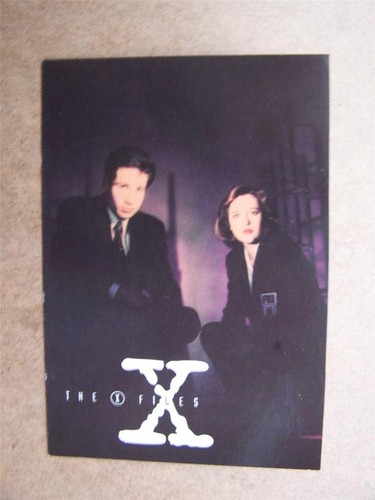 The files 6 inch - x, 4