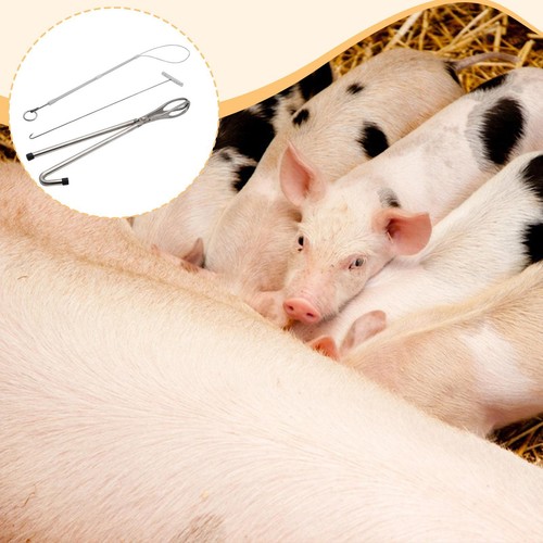 3pcs pig midwifery - pig, kit