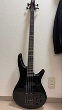 Ibanez SR300 Fujigen /