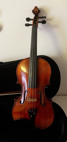 Hidersine venezia viola - viola, 16