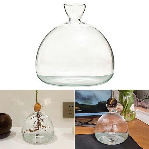 Glass avocado acorn tree - avocado,