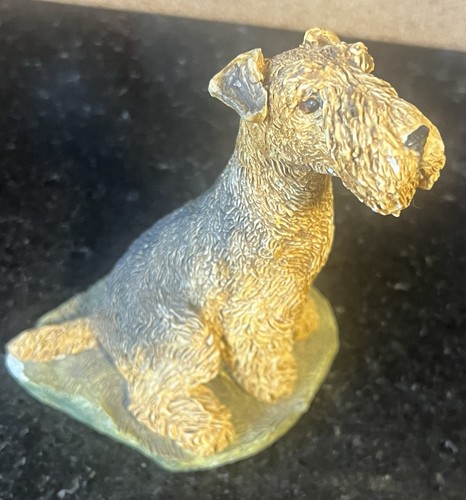 Terrier lakeland welsh - lakeland?,