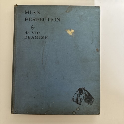 Miss perfection the story - perfection,