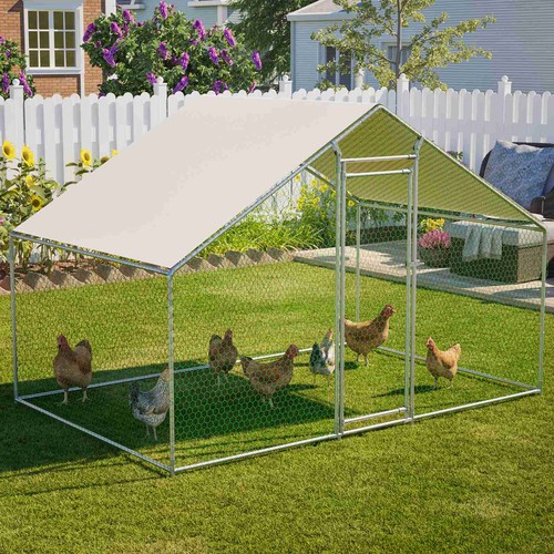 Chicken run cage walk - cage,