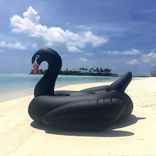 Cool 190cm black swan - cool, giant
