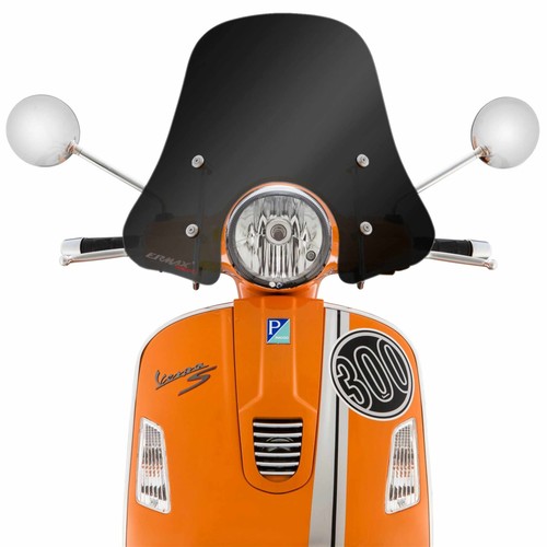 Sporty windshield ermax - windshield, for