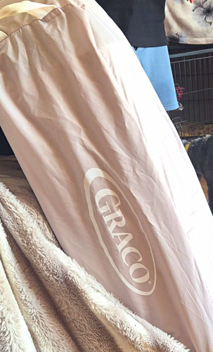 Graco travel and friends - graco,