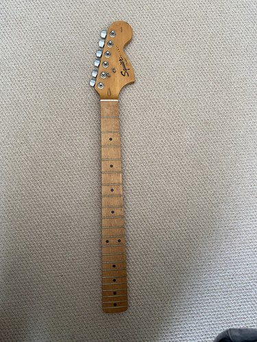 Maple fender squier - fender,