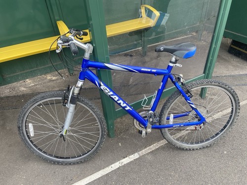 Giant mountain bike - mountain,